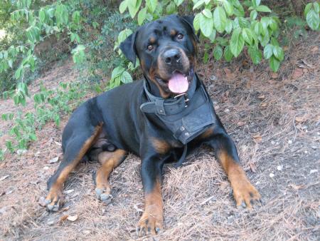 Bouba 1 an et 9 mois